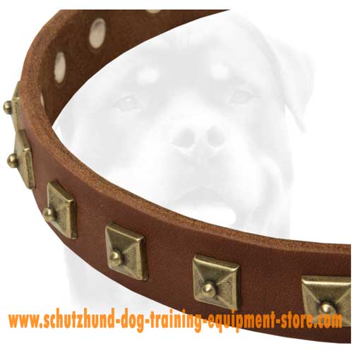 Perfectly Decorated Leather Dog Collar