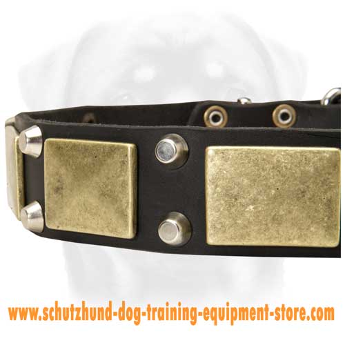 Durable Leather Dog Collar