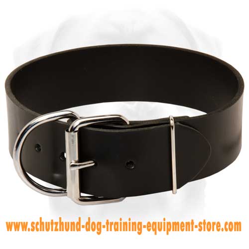 Fair Leather Dog Collar
