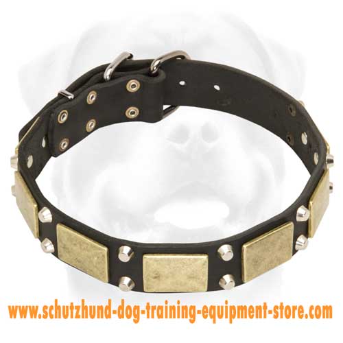Leather Dog Collar For Comfortable Walking