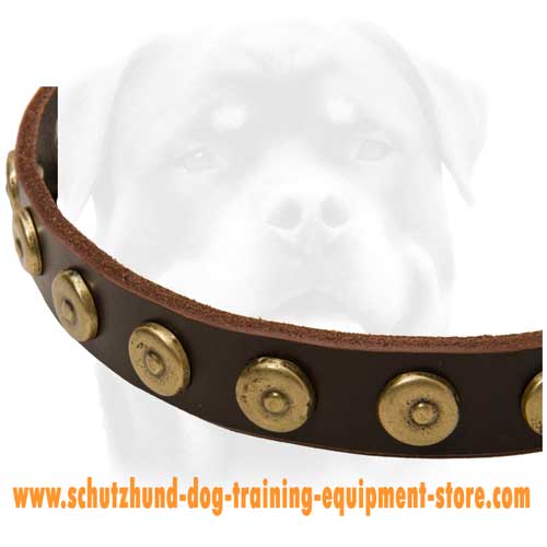 Beautiful Leather Dog Collar