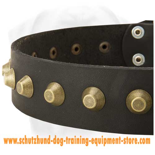 Comfy Leather Dog Collar