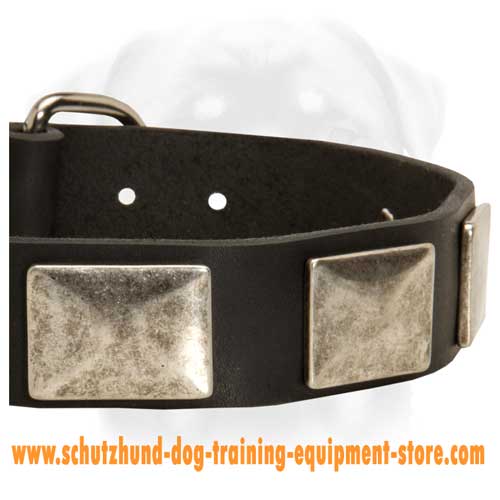 Stunning Leather Dog Collar