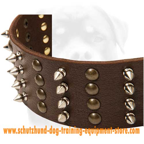 Perfect Leather Dog Collar