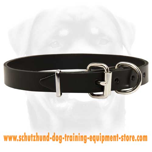 Leather Dog Collar For Everyday Walking