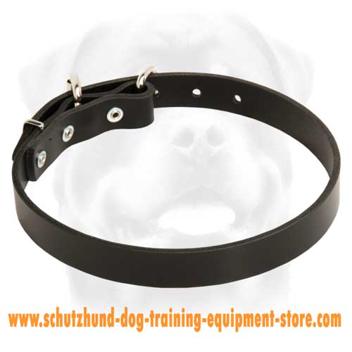 Leather Dog Collar For Active Dogs