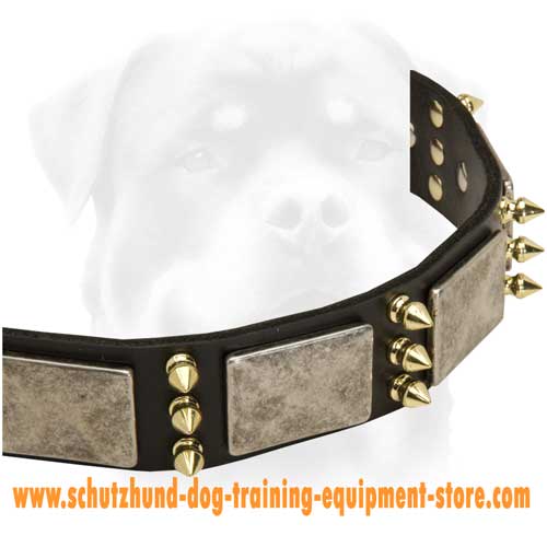 Excellent Leather Dog Collar
