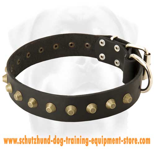 Leather Dog Collar Of A Fine Design