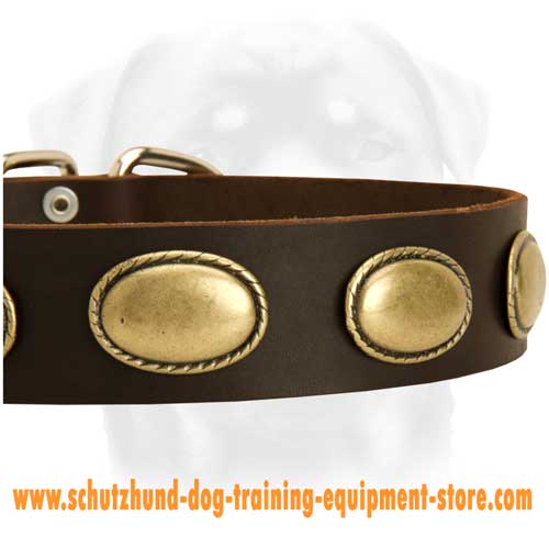 Leather Dog Collar With Oval Brass Plates