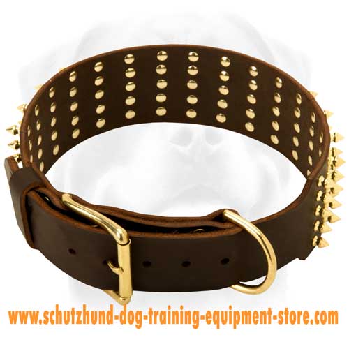 Brilliant Leather Dog Collar