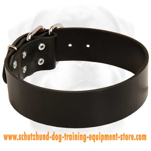 Strict Leather Dog Collar