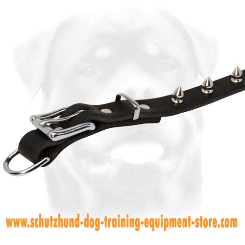 Leather Dog Collar For Cool Dogs