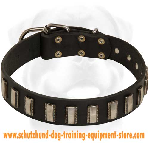 Special Leather Dog Collar