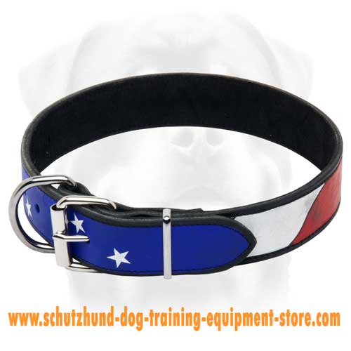 Beautiful Leather Dog Collar