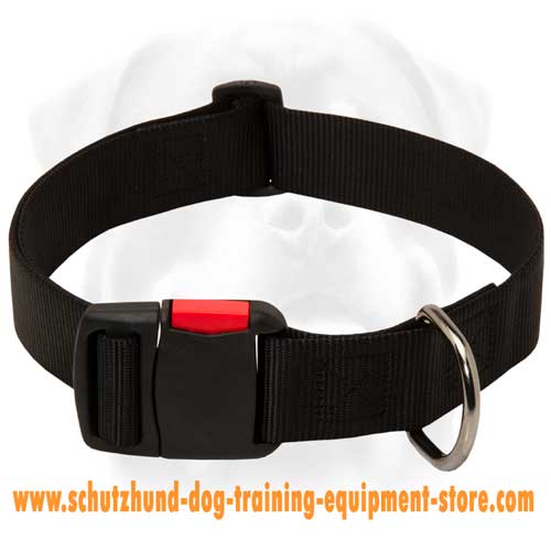 Extra Stron Nylon Dog Collar