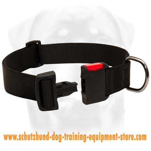 Amazing Nylon Dog Collar