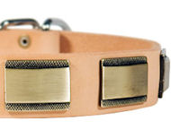 Designer Leather Dog Collar