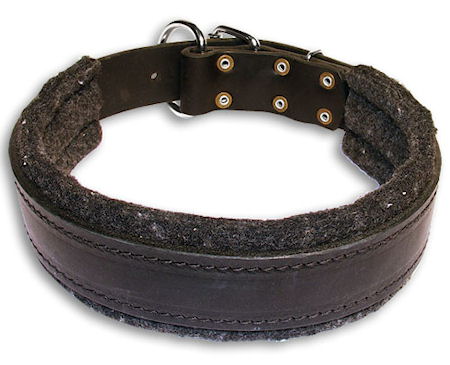 Leather Custom Dog Collar