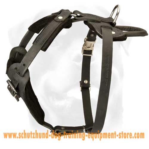 Comfortable Leather Dog Harness