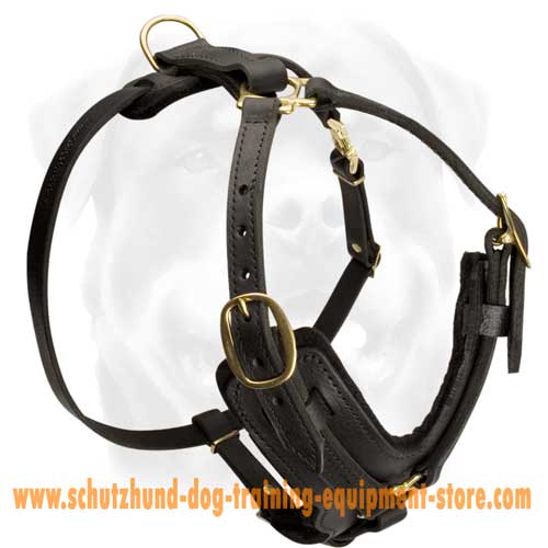 Exclusive Leather Dog Harness