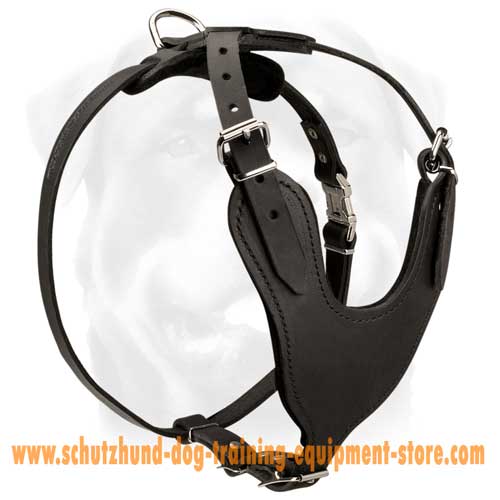 Leather Dog Harness With Amazing Design