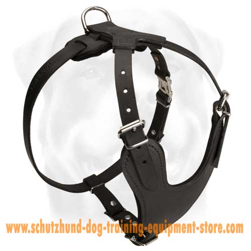 Cool Leather Dog Harness