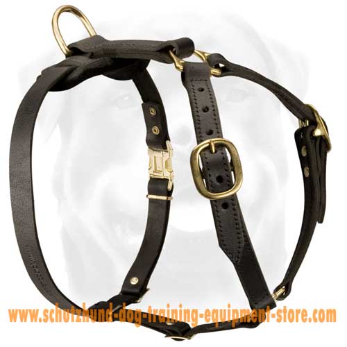 Brilliant Leather Dog Harness