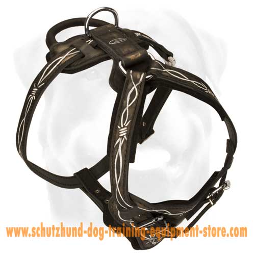 A-Grade Leather Dog Harness