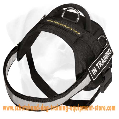 Rocking Nylon Dog Harness