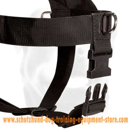 Unusual Nylon Dog Harness