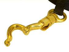 dog leash