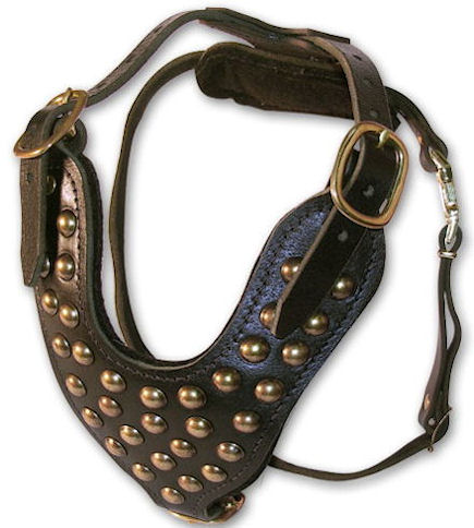 2 Ply Studded Leather Dog Harness for DOG