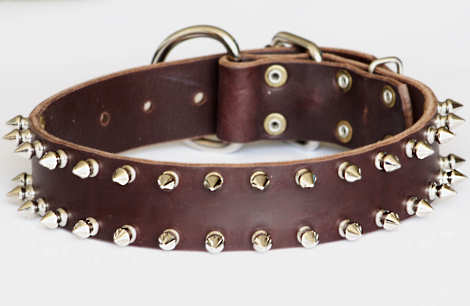 Spiked Leather Dog Collar- 2 Rows of spikes collar for all dogs for dog training or for dog owners