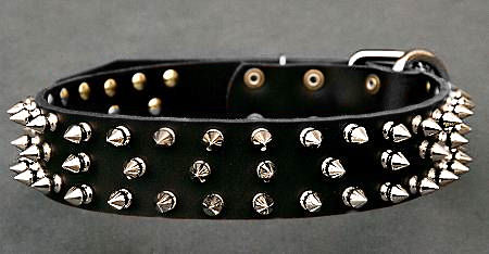Black Spiked Leather Dog Collar for working dogs