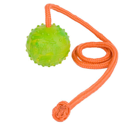 Training DOG BALL on a String-Dog Rubber Ball for working dogs
