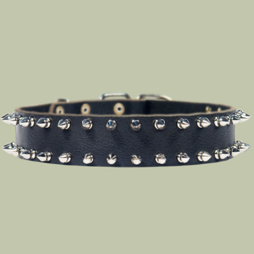 Double Row Spiked Collar for Dog- Leather Spike Collar