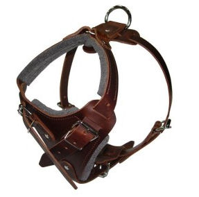 Hands Free Control Dog Harness