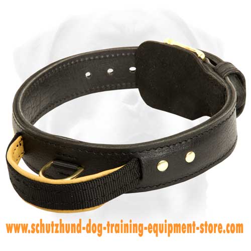 Schutzhund agitation collar 2 ply leather dog collar with handle
