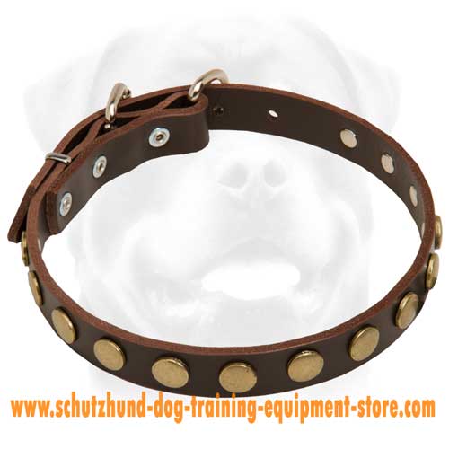Top Quality Leather Special Dog Collar With Circles
