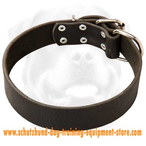 Comfortable Leather Dog Collar