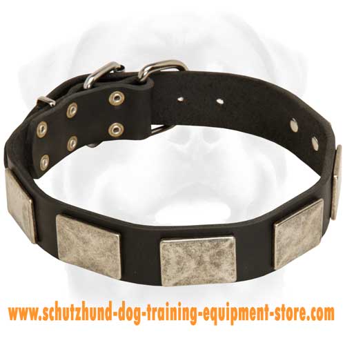 Handcrafted Leather Dog Collar With Vintage Massive Plates
