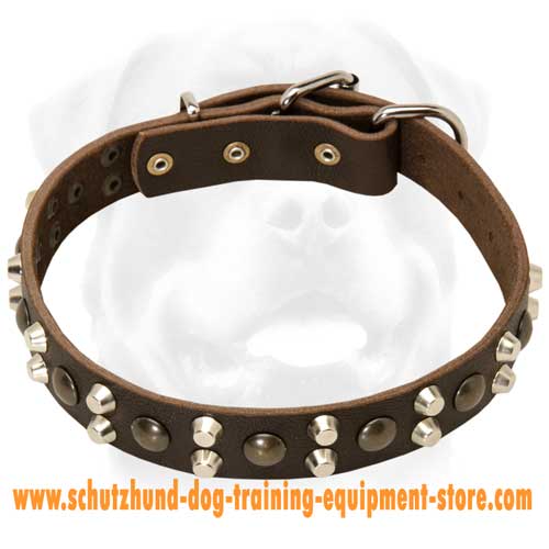 Custom Studded Leather Dog Collar for training dogs