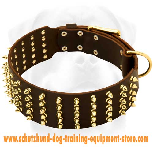 Leather Dog Collar With Cool Decoration - Click Image to Close