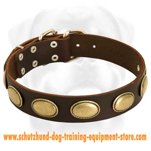 Retro Rulz - Gorgeous Vintage Dog Leather Collar - C103
