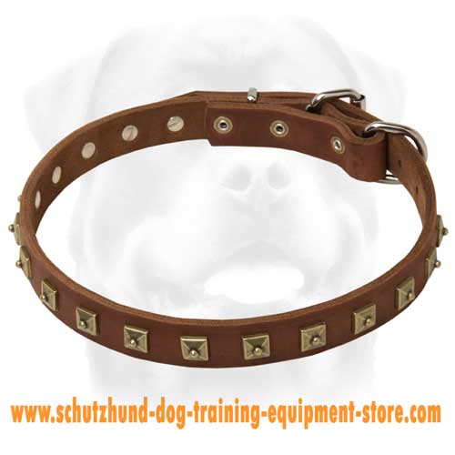 Leather Dog Collar With 1 Row Brass Studs