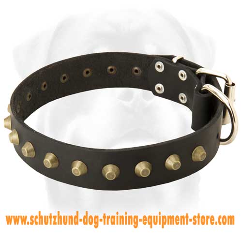 Gorgeous Wide Leather Dog Collar