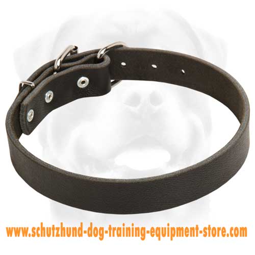 Good Leather Dog Collar
