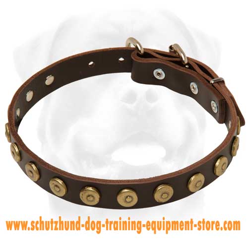 Gorgeous Leather Dog Collar With Dotted Circles