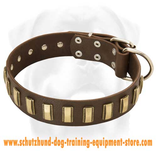 Gorgeous Wide Leather Dog Collar With Plates for All Breeds