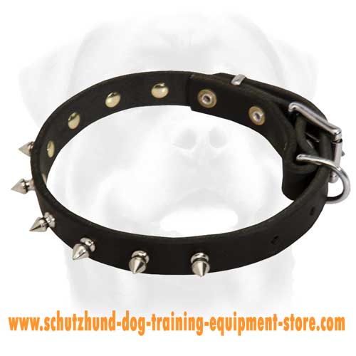 Leather Dog Collar - nickel spikes